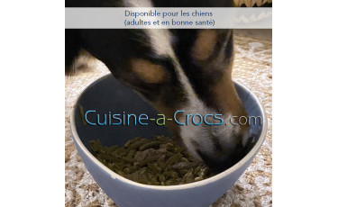 recette pour chien adulte en bonne santé